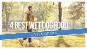 4 best wet dog food for senior dogs