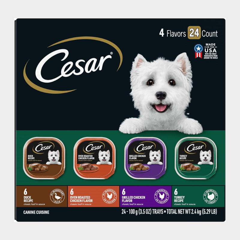 CESAR Adult Wet Dog Food Classic Loaf in Sauce