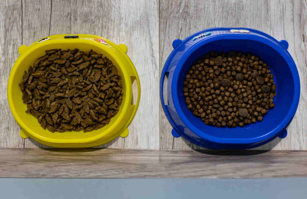 a yellow and a blue color bowl having dog food in it place together