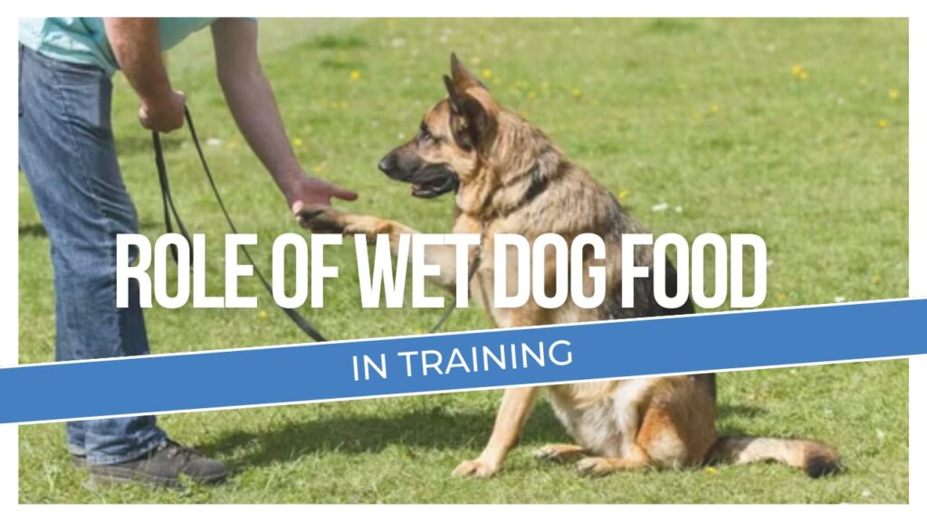 Role of Wet dog food in Training | Explained | Mydogcravings